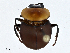  ( - CBG-A01207-D04)  @11 [ ] CreativeCommons - Attribution (2023) CBG Photography Group Centre for Biodiversity Genomics