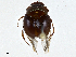  ( - CBG-A01209-F02)  @11 [ ] CreativeCommons - Attribution (2023) CBG Photography Group Centre for Biodiversity Genomics