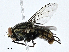  ( - CBG-A01211-D10)  @11 [ ] CreativeCommons - Attribution (2023) CBG Photography Group Centre for Biodiversity Genomics