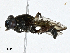  ( - CBG-A01211-F02)  @11 [ ] CreativeCommons - Attribution (2023) CBG Photography Group Centre for Biodiversity Genomics