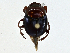  ( - CBG-A01222-B01)  @11 [ ] CreativeCommons - Attribution (2023) CBG Photography Group Centre for Biodiversity Genomics