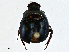  ( - CBG-A01222-B02)  @11 [ ] CreativeCommons - Attribution (2023) CBG Photography Group Centre for Biodiversity Genomics