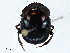  ( - CBG-A01222-B08)  @11 [ ] CreativeCommons - Attribution (2023) CBG Photography Group Centre for Biodiversity Genomics