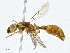  ( - CBG-A01223-D06)  @13 [ ] CreativeCommons - Attribution (2023) CBG Photography Group Centre for Biodiversity Genomics