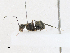  ( - CBG-A18373-A03)  @11 [ ] CreativeCommons - Attribution Share-Alike (2023) CBG Photography Group Centre for Biodiversity Genomics