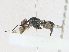  ( - CBG-A21647-D04)  @11 [ ] CreativeCommons - Attribution Share-Alike (2023) CBG Photography Group Centre for Biodiversity Genomics