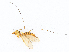  ( - CBG-A21668-H11)  @11 [ ] CreativeCommons - Attribution Share-Alike (2023) CBG Photography Group Centre for Biodiversity Genomics