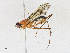  ( - CBG-A21710-E04)  @11 [ ] CreativeCommons - Attribution Share-Alike (2023) CBG Photography Group Centre for Biodiversity Genomics