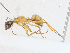  ( - CBG-A21740-A03)  @11 [ ] CreativeCommons - Attribution Share-Alike (2023) CBG Photography Group Centre for Biodiversity Genomics
