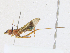  ( - CBG-A21743-C02)  @11 [ ] CreativeCommons - Attribution Share-Alike (2023) CBG Photography Group Centre for Biodiversity Genomics