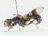 ( - CBG-A21744-C09)  @11 [ ] CreativeCommons - Attribution Share-Alike (2023) CBG Photography Group Centre for Biodiversity Genomics