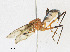  ( - CBG-A23291-C11)  @11 [ ] CreativeCommons - Attribution Share - Alike (2023) CBG Photography Group Centre for Biodiversity Genomics