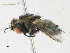 ( - CBG-A23292-B10)  @11 [ ] CreativeCommons - Attribution Share-Alike (2023) CBG Photography Group Centre for Biodiversity Genomics