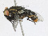  ( - CBG-A23293-A04)  @11 [ ] CreativeCommons - Attribution Share - Alike (2023) CBG Photography Group Centre for Biodiversity Genomics