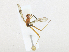  ( - CBG-A23331-G05)  @11 [ ] CreativeCommons - Attribution Share-Alike (2023) CBG Photography Group Centre for Biodiversity Genomics