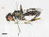  ( - CBG-A23338-G08)  @11 [ ] CreativeCommons - Attribution Share-Alike (2023) CBG Photography Group Centre for Biodiversity Genomics