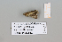  ( - PF22141)  @11 [ ] by-nc-sa (2024) Brigitte Gottsberger University of Vienna, Department of Botany and Biodiversity Research
