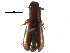  ( - CCDB-24288-B07)  @11 [ ] CreativeCommons - Attribution (2015) CBG Photography Group Centre for Biodiversity Genomics