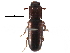  ( - CCDB-24288-B08)  @11 [ ] CreativeCommons - Attribution (2015) CBG Photography Group Centre for Biodiversity Genomics