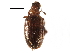  ( - CCDB-24288-B10)  @11 [ ] CreativeCommons - Attribution (2015) CBG Photography Group Centre for Biodiversity Genomics