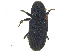  ( - CCDB-28929-B02)  @11 [ ] CreativeCommons - Attribution (2015) CBG Photography Group Centre for Biodiversity Genomics