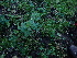  ( - 074_022)  @11 [ ] CreativeCommons - Attribution Share-Alike (2022) Unspecified Kostrzyca Forest Gene Bank