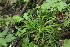  ( - 119_002)  @11 [ ] Unspecified (default): All Rights Reserved (2019) Kostrzyca Forest Gene Bank Kostrzyca Forest Gene Bank