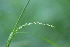  ( - 119_017)  @11 [ ] Unspecified (default): All Rights Reserved (2019) Kostrzyca Forest Gene Bank Kostrzyca Forest Gene Bank