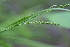  ( - 119_017)  @11 [ ] Unspecified (default): All Rights Reserved (2019) Kostrzyca Forest Gene Bank Kostrzyca Forest Gene Bank