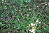  ( - 130_002)  @11 [ ] CreativeCommons-Attribution Non-Commercial Share-Alike (2019) Kostrzyca Forest Gene Bank Kostrzyca Forest Gene Bank