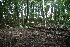  ( - 149_002)  @11 [ ] CreativeCommons-Attribution Non-Commercial Share-Alike (2020) Kostrzyca Forest Gene Bank Kostrzyca Forest Gene Bank