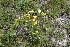  ( - 151_001)  @11 [ ] CreativeCommons-Attribution Non-Commercial Share-Alike (2020) Kostrzyca Forest Gene Bank Kostrzyca Forest Gene Bank