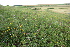  ( - 151_018)  @11 [ ] CreativeCommons-Attribution Non-Commercial Share-Alike (2020) Kostrzyca Forest Gene Bank Kostrzyca Forest Gene Bank