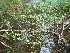  ( - 163_003)  @11 [ ] CreativeCommons-Attribution Non-Commercial Share-Alike (2020) Kostrzyca Forest Gene Bank Kostrzyca Forest Gene Bank