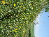  ( - 204_003)  @11 [ ] CreativeCommons-Attribution Non-Commercial Share-Alike (2021) Kostrzyca Forest Gene Bank Kostrzyca Forest Gene Bank