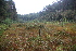  ( - 209_042)  @11 [ ] CreativeCommons-Attribution Non-Commercial Share-Alike (2021) Kostrzyca Forest Gene Bank Kostrzyca Forest Gene Bank