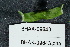  ( - BHAK-09643)  @11 [ ] CreativeCommons - Attribution No Derivatives (2042) Hakai Institute Hakai Institute