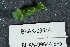  ( - BHAK-09644)  @11 [ ] CreativeCommons - Attribution No Derivatives (2043) Hakai Institute Hakai Institute