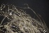  ( - L-783)  @11 [ ] CreativeCommons Attribution Non-Commercial No Derivatives (2018) Matt Lemay Hakai Institute