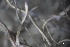  ( - L-783)  @11 [ ] CreativeCommons Attribution Non-Commercial No Derivatives (2018) Matt Lemay Hakai Institute