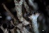  ( - L-786)  @11 [ ] CreativeCommons Attribution Non-Commercial No Derivatives (2018) Matt Lemay Hakai Institute