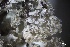  ( - L-799)  @11 [ ] CreativeCommons Attribution Non-Commercial No Derivatives (2018) Matt Lemay Hakai Institute