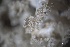  ( - L-799)  @11 [ ] CreativeCommons Attribution Non-Commercial No Derivatives (2018) Matt Lemay Hakai Institute