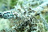  ( - L-758)  @11 [ ] CreativeCommons Attribution Non-Commercial No Derivatives (2018) Matt Lemay Hakai Institute