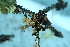  ( - L-800)  @11 [ ] CreativeCommons Attribution Non-Commercial No Derivatives (2018) Matt Lemay Hakai Institute