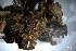  (Pseudocyphellaria hawaiiensis - L-800)  @11 [ ] CreativeCommons Attribution Non-Commercial No Derivatives (2018) Matt Lemay Hakai Institute