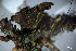  ( - L-800)  @11 [ ] CreativeCommons Attribution Non-Commercial No Derivatives (2018) Matt Lemay Hakai Institute