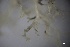  ( - L-801)  @11 [ ] CreativeCommons Attribution Non-Commercial No Derivatives (2018) Matt Lemay Hakai Institute