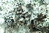  ( - L-777)  @11 [ ] CreativeCommons Attribution Non-Commercial No Derivatives (2018) Matt Lemay Hakai Institute