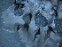  ( - L-774)  @11 [ ] CreativeCommons Attribution Non-Commercial No Derivatives (2018) Matt Lemay Hakai Institute